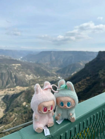 Pop Mart Labubu - Original Limited edition! - use PICKDBEST10 (10% off)